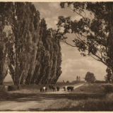 George Chance and pictorialism 