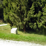 Glencoe memorial grove