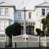 State houses on Coromandel Street