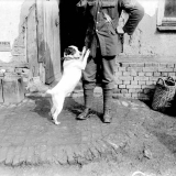 Jack, the mascot