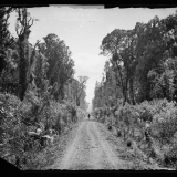 Bush road photograph by James Bragge