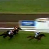 Kiwi wins the 1983 Melbourne Cup