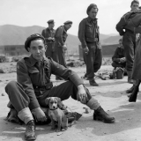 Bruno, New Zealand Army Service Corps mascot