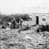 Police search Minnie Dean's garden