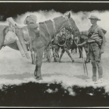 Trooper and horse