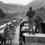 New Zealand Division in Syria