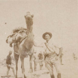 New Zealand officer with camel