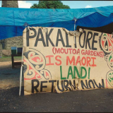 Moutoa Gardens protest