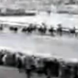 Phar Lap wins the 1930 Melbourne Cup