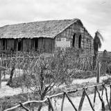 Rangiriri NZ Wars cemetery in 1864