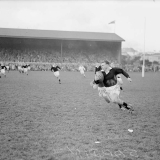 Ron Jarden