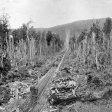 Incline to Seddonville mine
