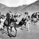 Mounted Arab troops