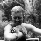 Slow loris mascot