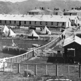 Somes Island quarantine station