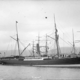 The steamer <em>Penguin</em>