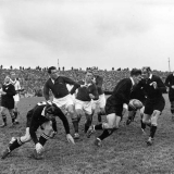 Springboks vs All Blacks, 1956
