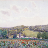 Poppy field, village of Pas, Somme 1918