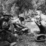Soldiers shelter amongst olive trees on Crete