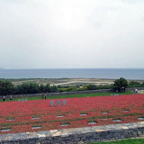 German war cemetery at Crete