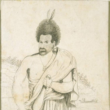 Te Pahi