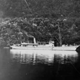The government steamer Hinemoa