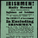 Irish protest poster 