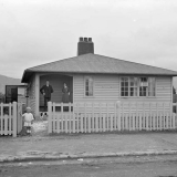 Petone state house