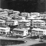 State houses in Porirua East