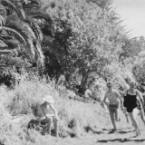 Picnic races