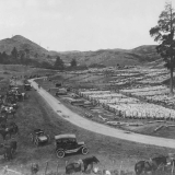 Waingaro saleyards, 1917