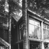 Pole house in Titirangi