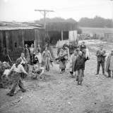 Services vegetable production project, 1943