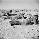 New Zealand troops training in Egypt