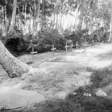 New Zealand soldier cemetery, Vella Lavella 