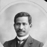 Apirana Ngata