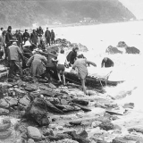 Volunteers recover a <em>Wahine</em> liferaft