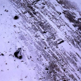 Tail of Air New Zealand plane at Mt Erebus