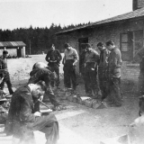 POWs peeling swedes