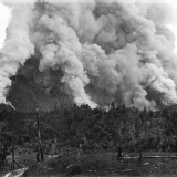 Bush fires