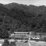 Morere Springs Scenic Reserve