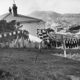 Rugby jerseys drying on washing line