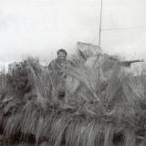 Collecting the census by tank, 1996