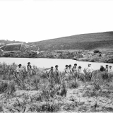 Maori encampment at Helensville