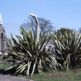 Palmerston war memorial