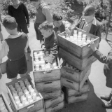 School milk