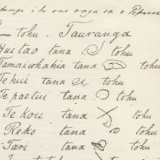 Tauranga treaty copy