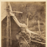 Tōpine Te Mamaku