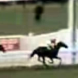 Van der Hum wins 1976 Melbourne Cup