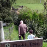 Area around the Wairau incident today